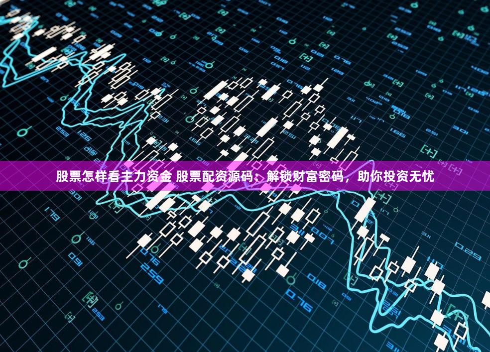 股票怎样看主力资金 股票配资源码：解锁财富密码，助你投资无忧