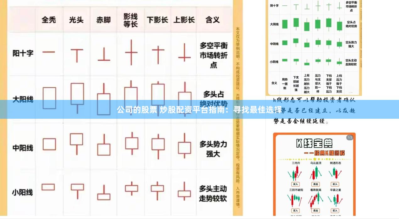 公司的股票 炒股配资平台指南：寻找最佳选择