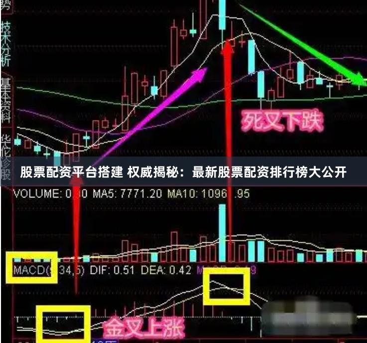 股票配资平台搭建 权威揭秘：最新股票配资排行榜大公开