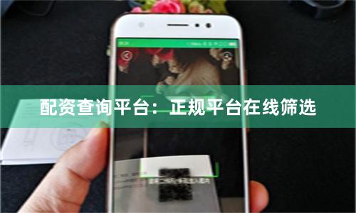 配资查询平台：正规平台在线筛选