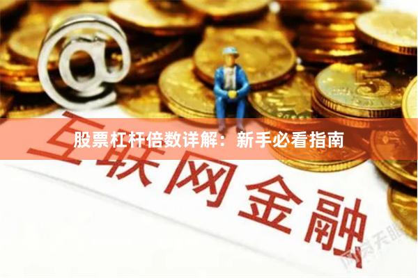 股票杠杆倍数详解：新手必看指南