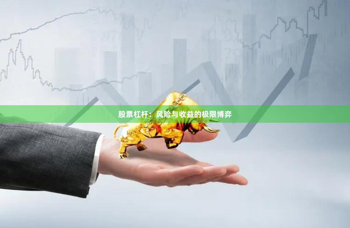 股票杠杆：风险与收益的极限博弈